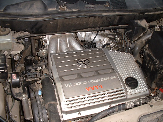 d0087497_2329310.jpg