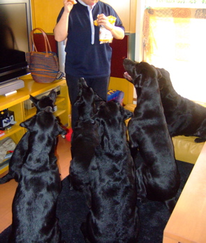 f0001698_22143983.jpg