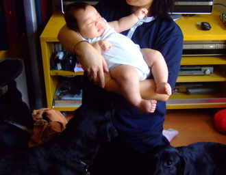 f0001698_2264776.jpg