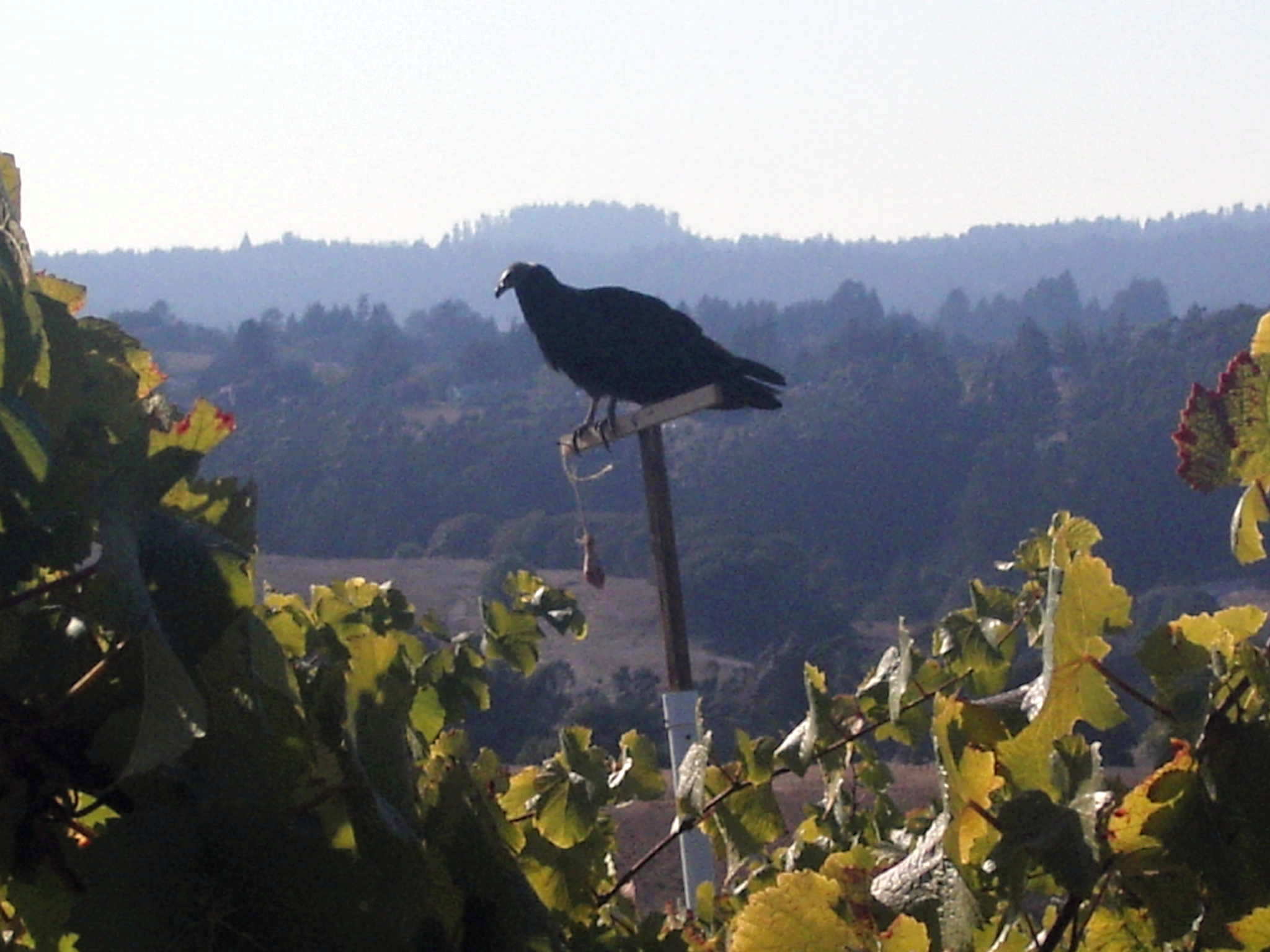 f0007498_5441068.jpg