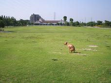 d0092605_23205393.jpg