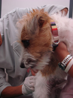 f0080105_23373031.jpg