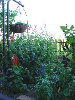d0001008_17394177.jpg