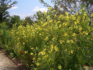 c0030112_1113926.jpg