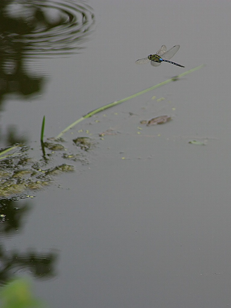 d0085715_23544063.jpg