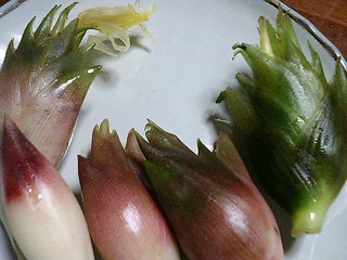 e0026017_22133730.jpg