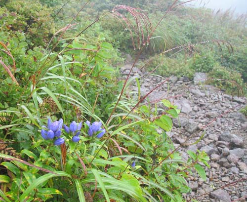 d0080118_15421610.jpg