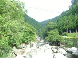 e0002820_9283477.jpg