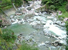 e0002820_9372598.jpg