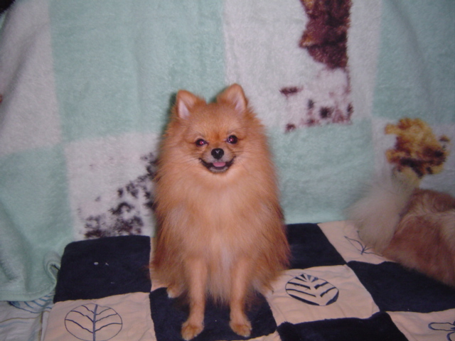 f0012924_4155476.jpg
