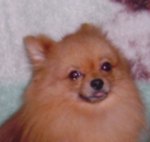 f0012924_4332645.jpg