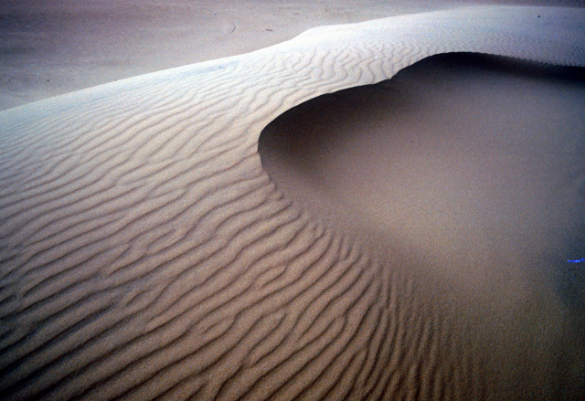 d0091834_13405622.jpg