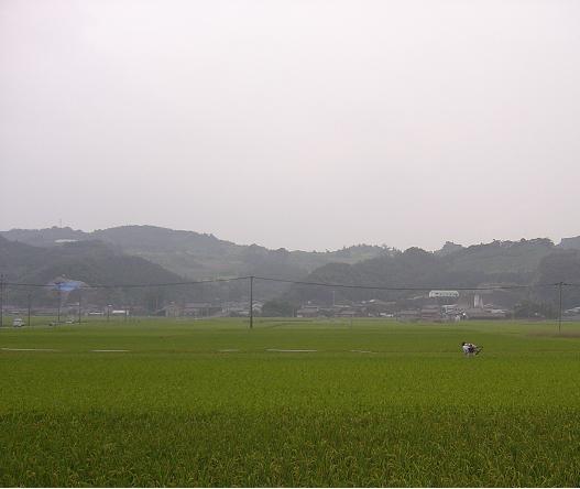 d0088735_21303571.jpg