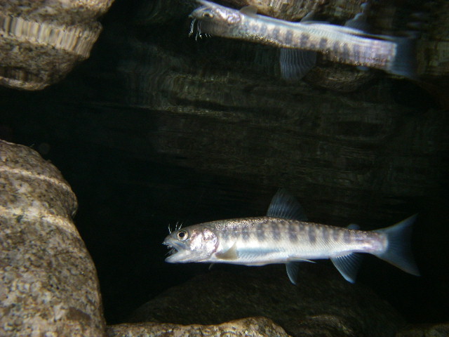 f0053342_20161765.jpg