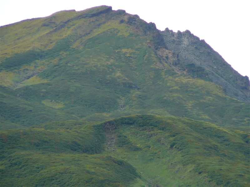 c0081645_23593033.jpg