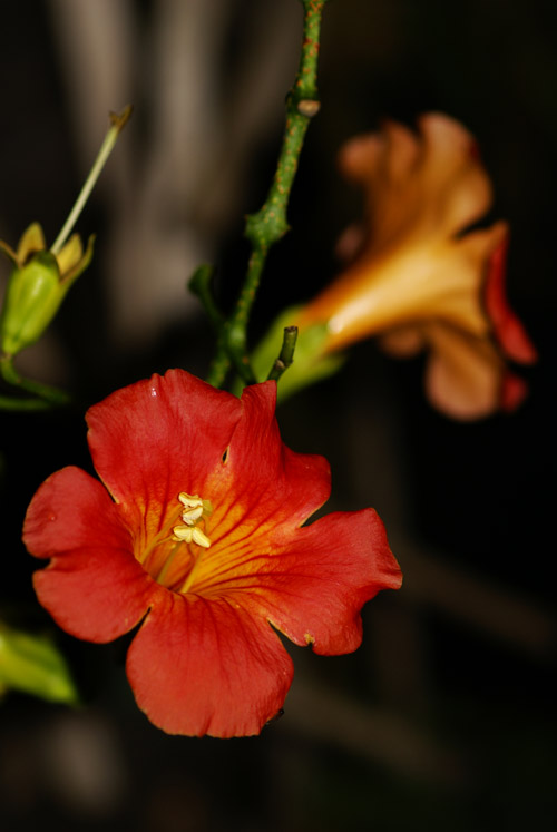 a0003746_17353410.jpg