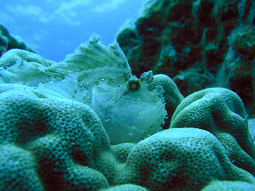 d0065247_2135250.jpg