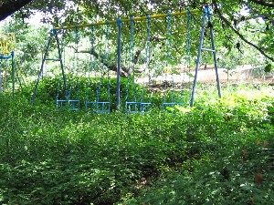 f0065753_11275081.jpg