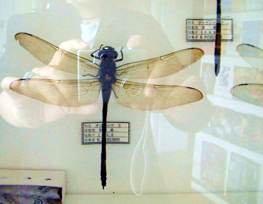 c0031856_21355515.jpg