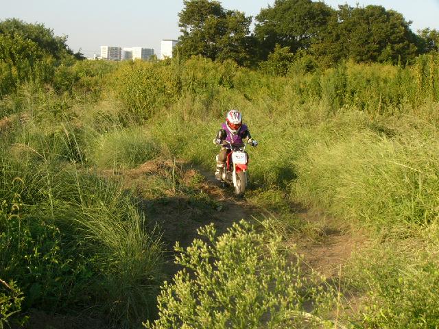 b0024266_04772.jpg
