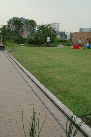 f0065768_20131758.jpg