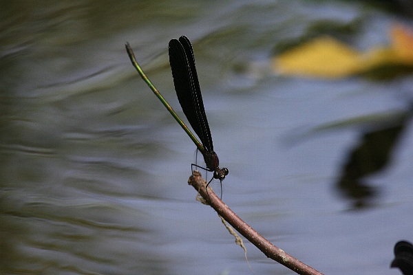b0084270_0561150.jpg