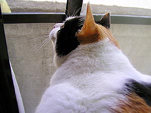 a0001971_634740.jpg