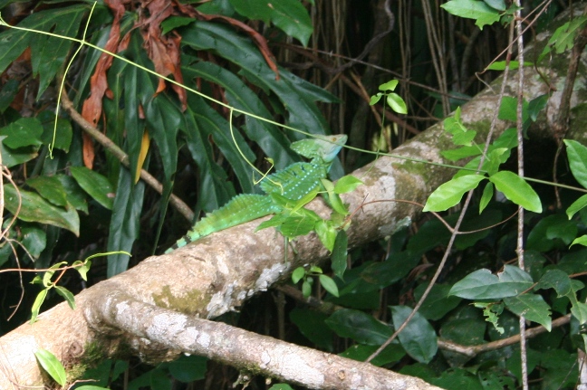 f0030875_21474534.jpg