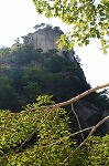 b0077980_1441178.jpg