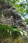b0077980_1442766.jpg