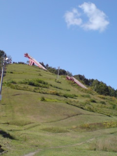 c0068882_19425551.jpg