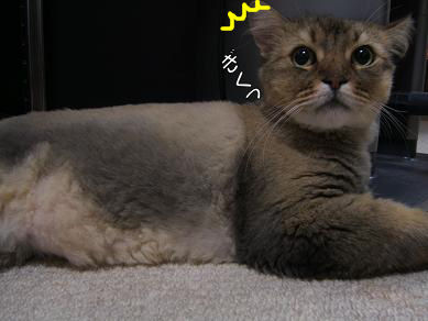 a0045990_1405148.jpg