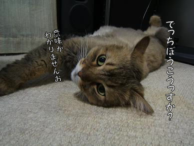 a0045990_1534077.jpg
