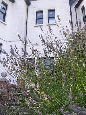 f0093592_8552080.jpg