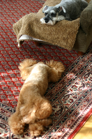f0001895_21401063.jpg