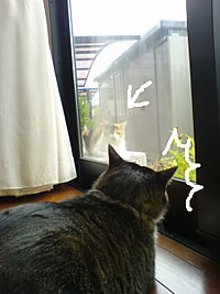 c0035001_1475724.jpg