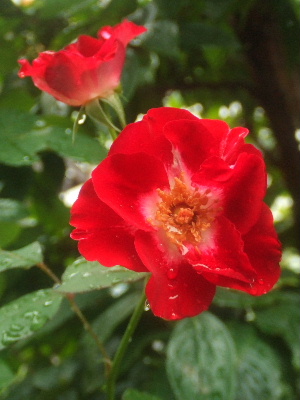 f0041606_2245287.jpg