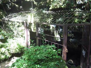 f0040310_217841.jpg