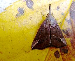f0000521_1934389.jpg