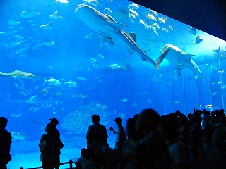 b0009029_7454392.jpg