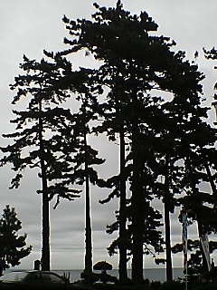 b0072729_1912479.jpg