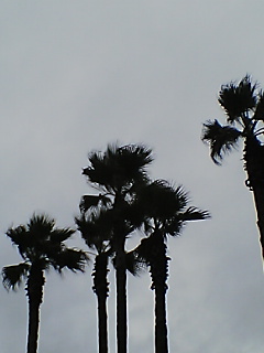 b0072729_19134194.jpg