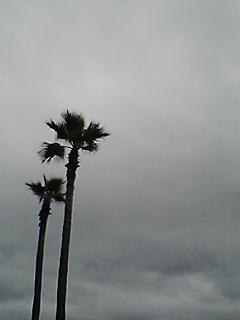 b0072729_1916720.jpg