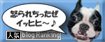 人気ブログランキングへ