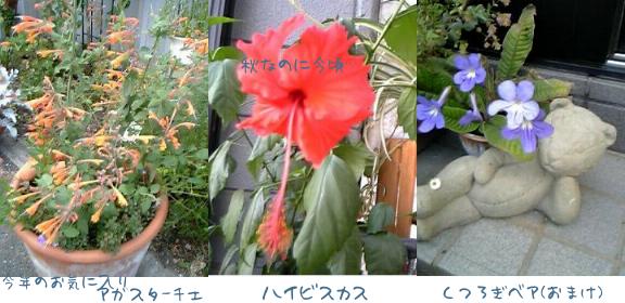 d0020136_17203070.jpg