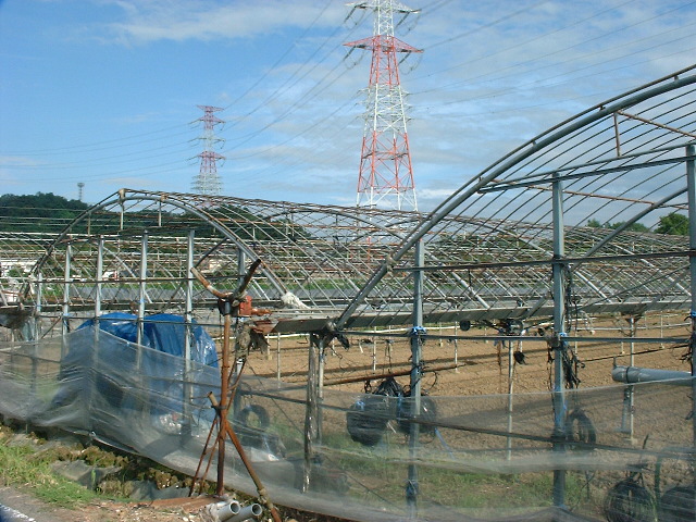 a0074938_1805787.jpg