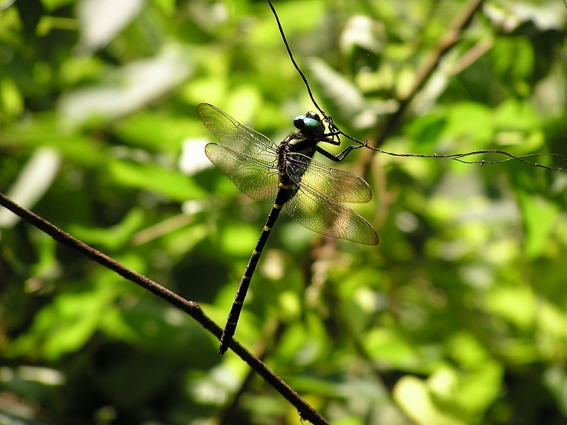 b0099538_228613.jpg