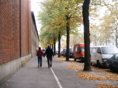 f0072241_2322284.jpg