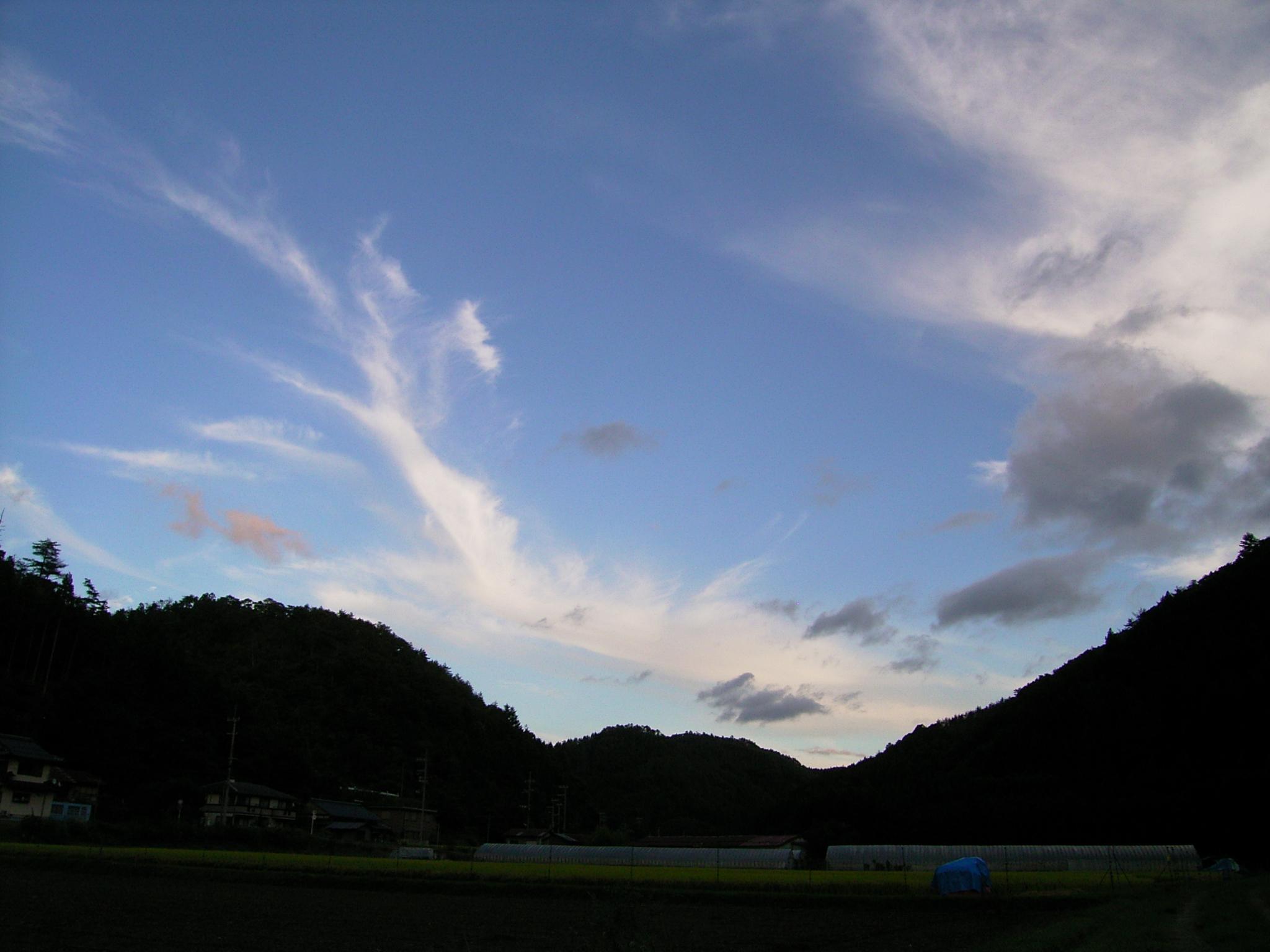 c0072843_20152063.jpg