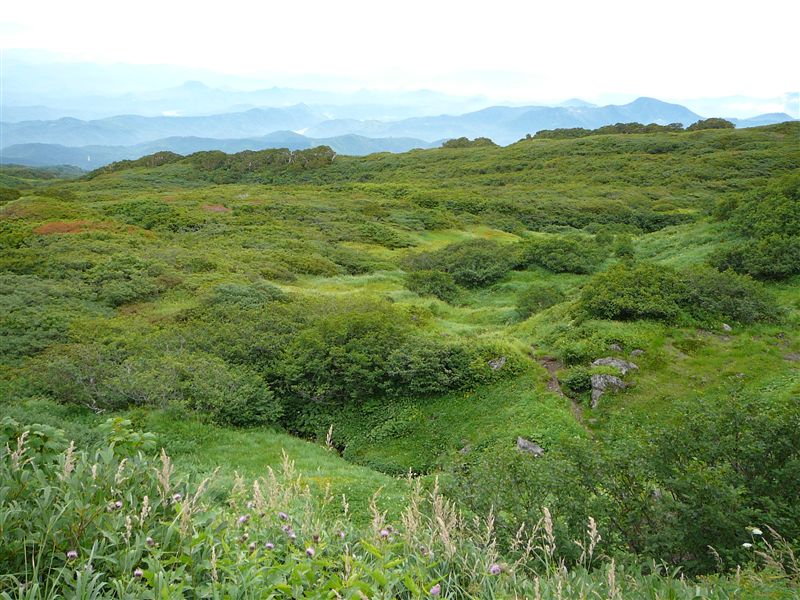 c0081645_0103763.jpg